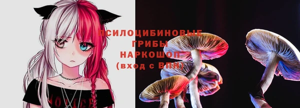 индика Верхнеуральск