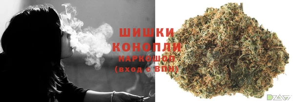 индика Верхнеуральск