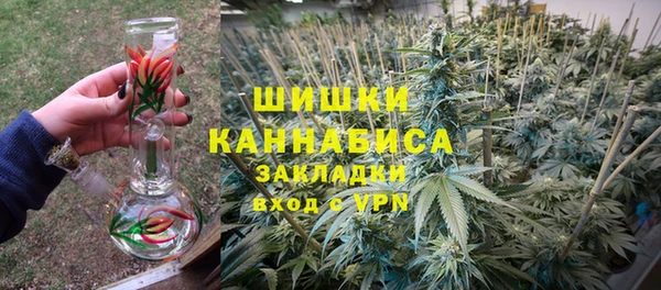 индика Ростов