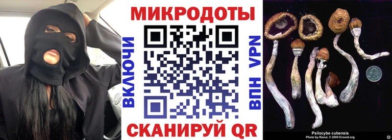 Псилоцибиновые грибы мухоморы  Дубна 